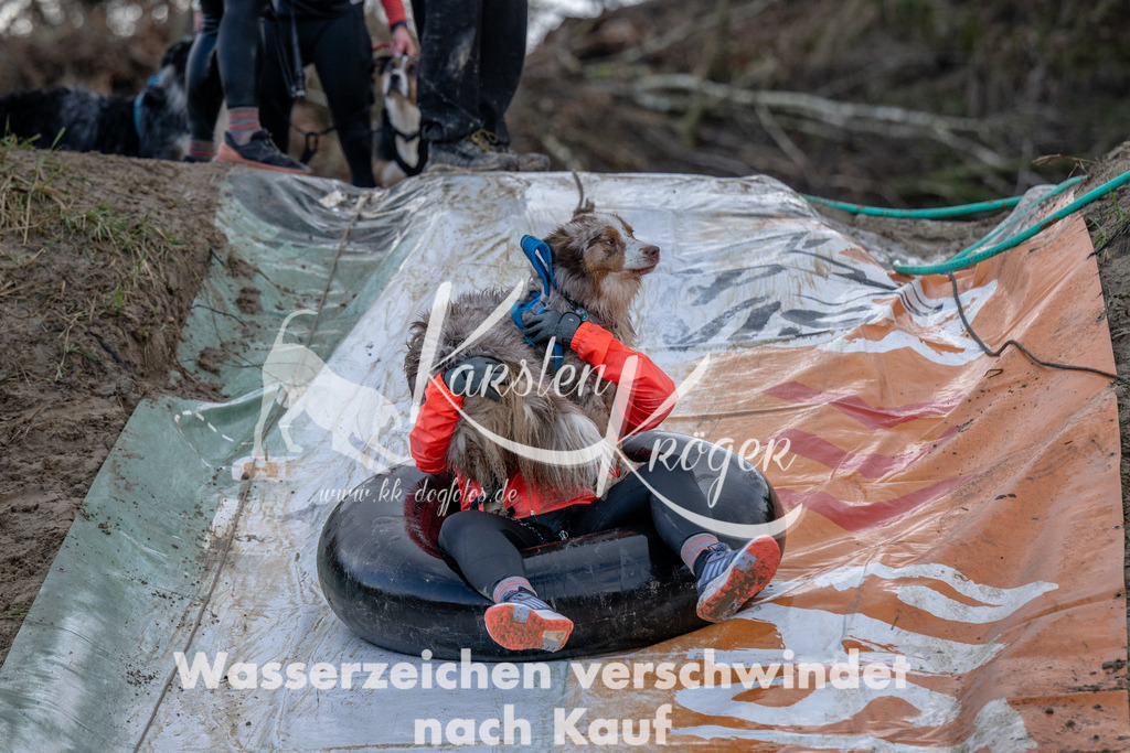 1617_ZZ94758 | kk-dogfotos