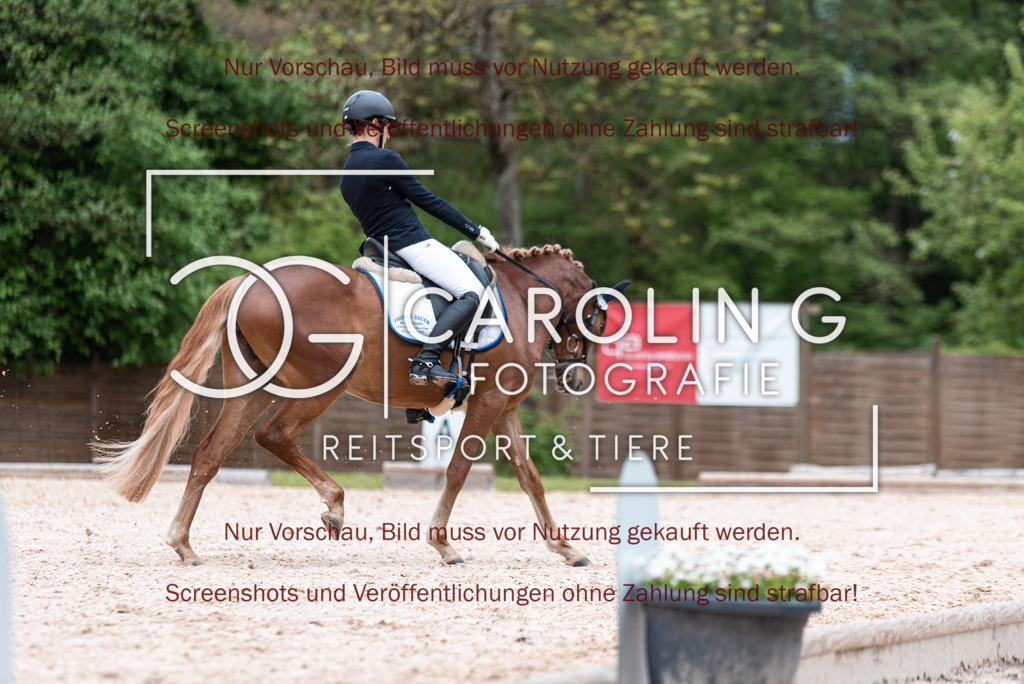 DSC_7010 | Turnierfotografin Carolin Gieschke,Reitsport Turnierfotografie Carolin G Fotografie | Turnierfotos aus Kirchheim/Teck, Esslingen, Stuttgart und dem Bodenseekreis