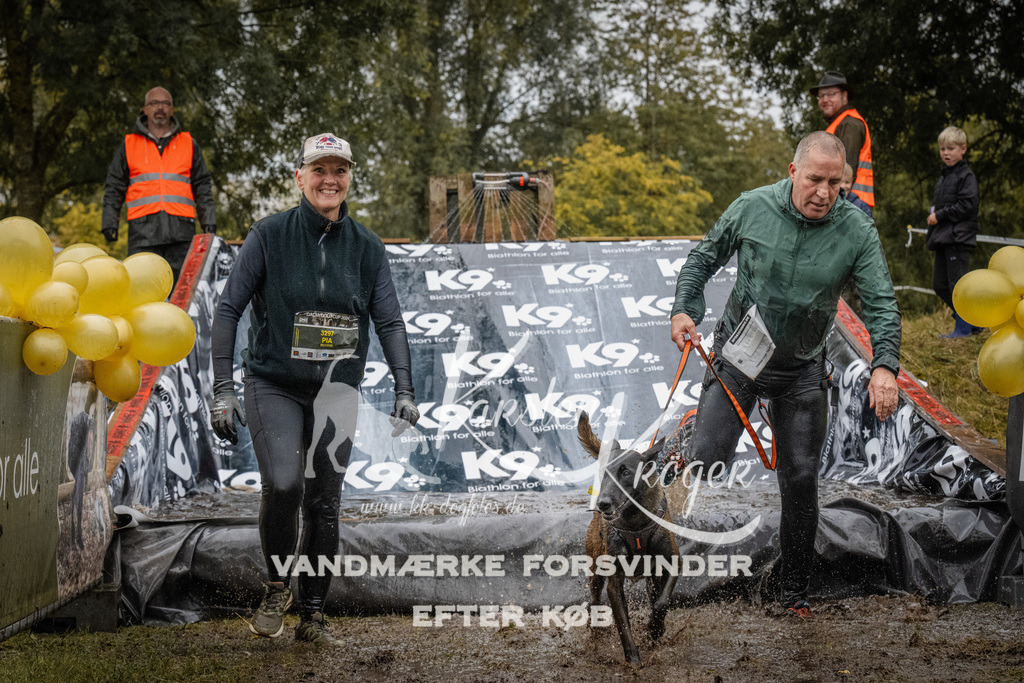 1101_ZZ91431 | kk-dogfotos