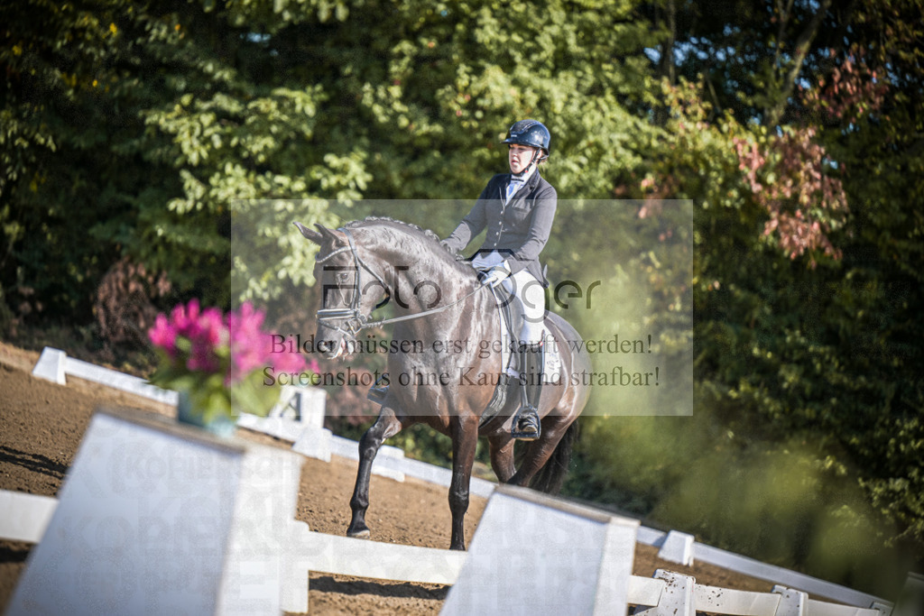 DOS_2768 | Entdecke hochwertige Reitturnierfotos von Foto Oger. Professionell, emotional und authentisch – jetzt Lieblingsmomente im Shop bestellen.Deutschlandweite Turnierfotografie. - Realisiert mit Pictrs.com