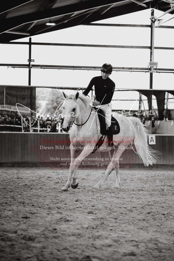 DSC_6973 | Pferde- und Turnierfotografie in Westsachsen. Pferdeportraits, Auftragszeichnungen und intuitive Kunst.