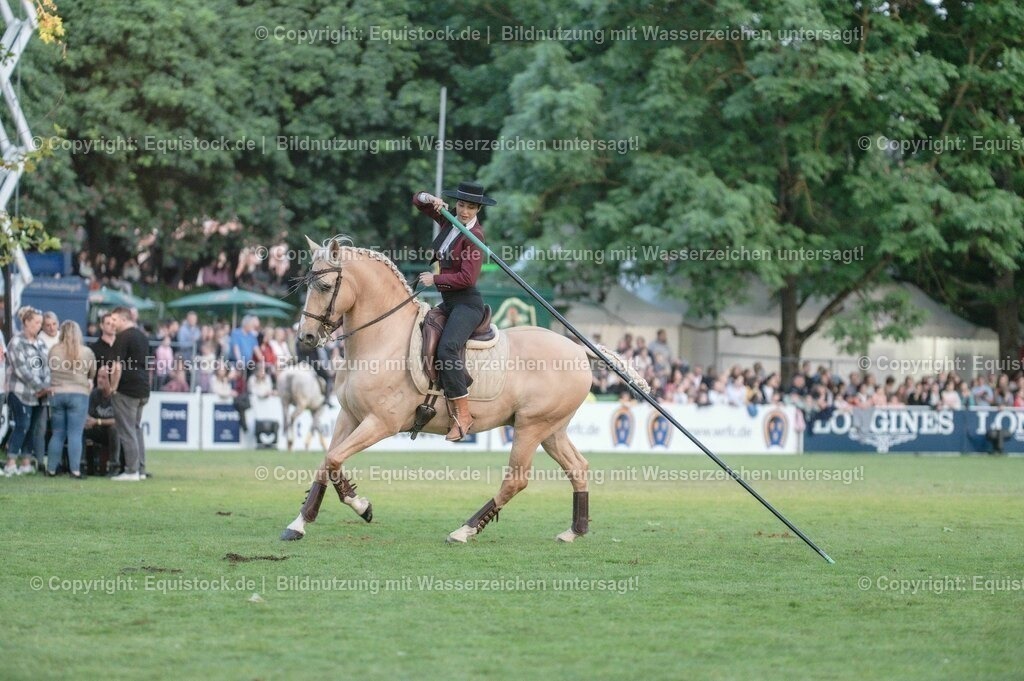 20230526_Pferdenacht_0734 | equistock