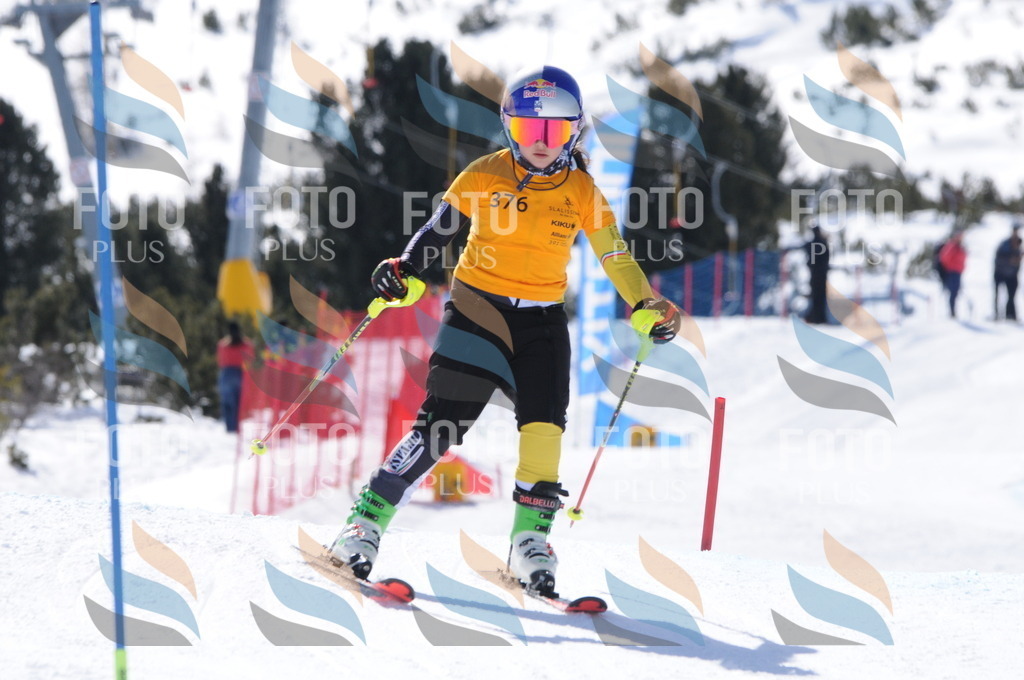 C9253 | holidayphoto