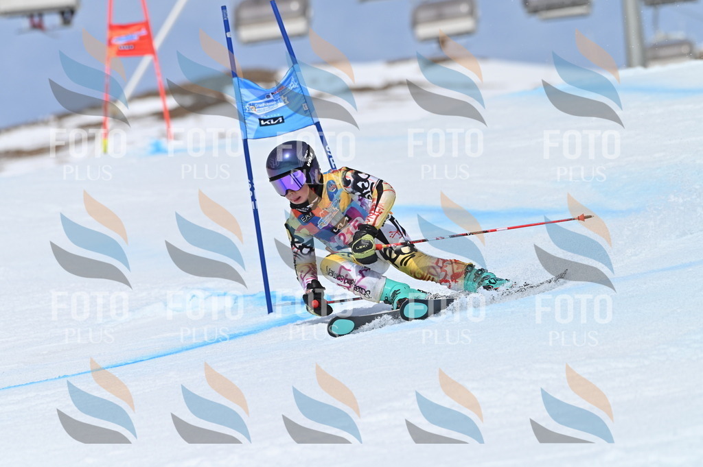 BGV_1221 | holidayphoto