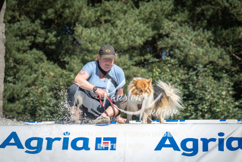 1312_ZZ98719 | kk-dogfotos