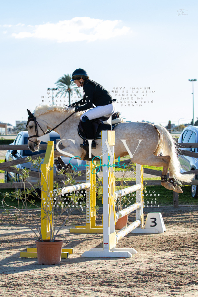 IMG_5423 | s-jay-photography - Realisiert mit Pictrs.com