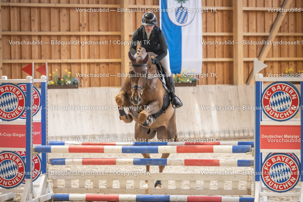 _D5A7283 | Emotionale Pferde- & People-Fotografie rund um Heidelberg, Leimen & Umgebung. Natürliche Fotos von Pferd, Mensch & Familie. Jetzt Termin sichern!