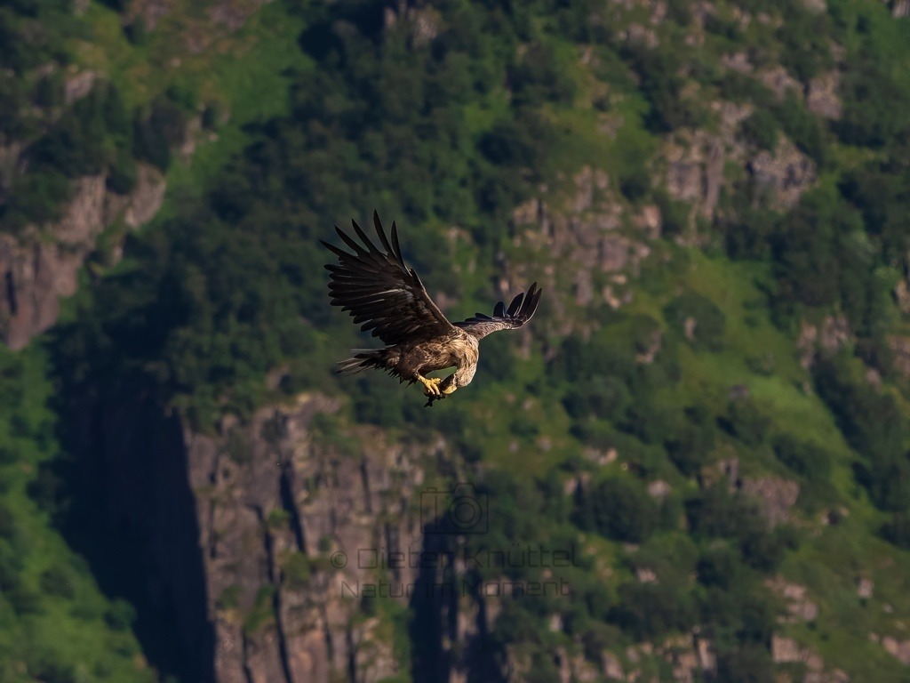 P1001681-LR-topaz-enhance | Natur im Moment - Realisiert mit Pictrs.com