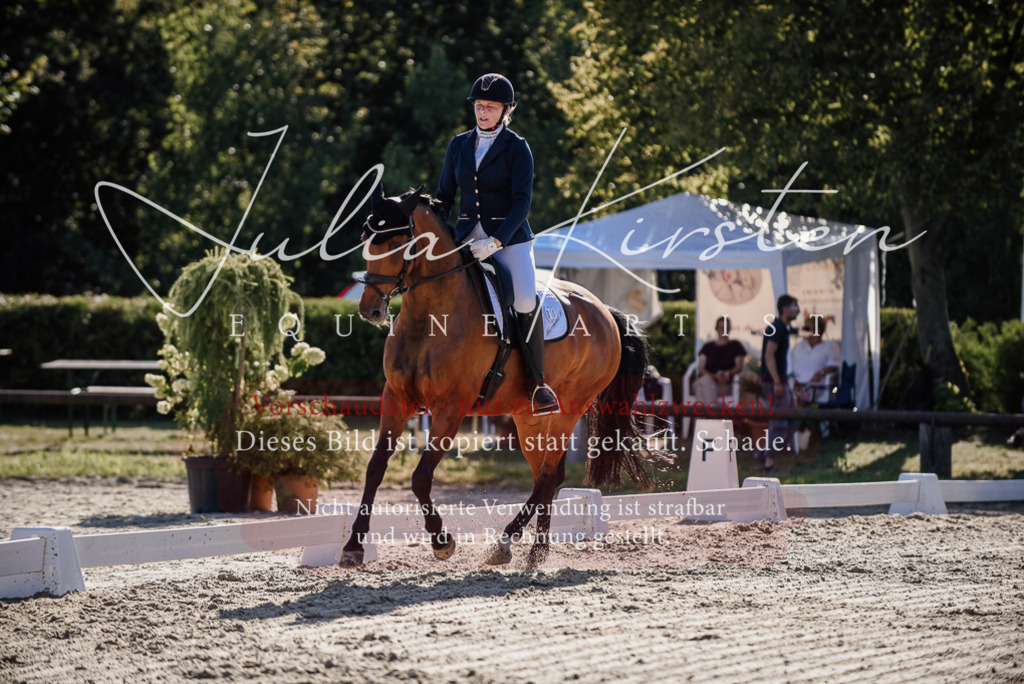 DSC_0409 | Pferde- und Turnierfotografie in Westsachsen. Pferdeportraits, Auftragszeichnungen und intuitive Kunst.