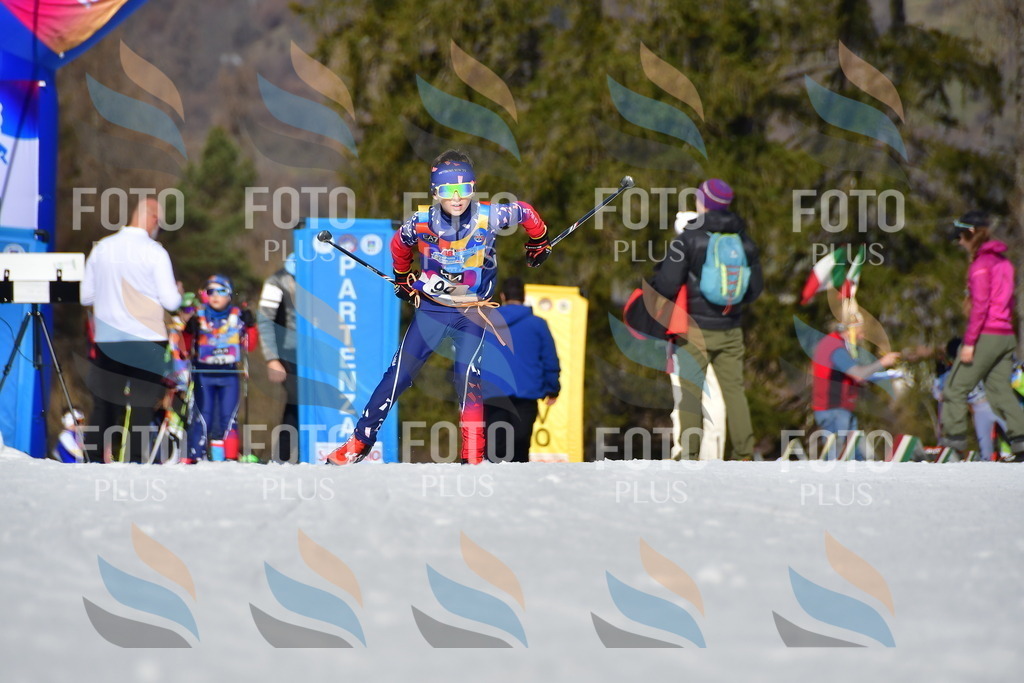 _DSC9484 | holidayphoto