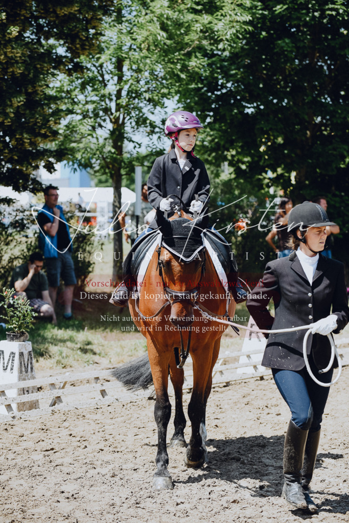 DSC_2168 | Pferde- und Turnierfotografie in Westsachsen. Pferdeportraits, Auftragszeichnungen und intuitive Kunst.