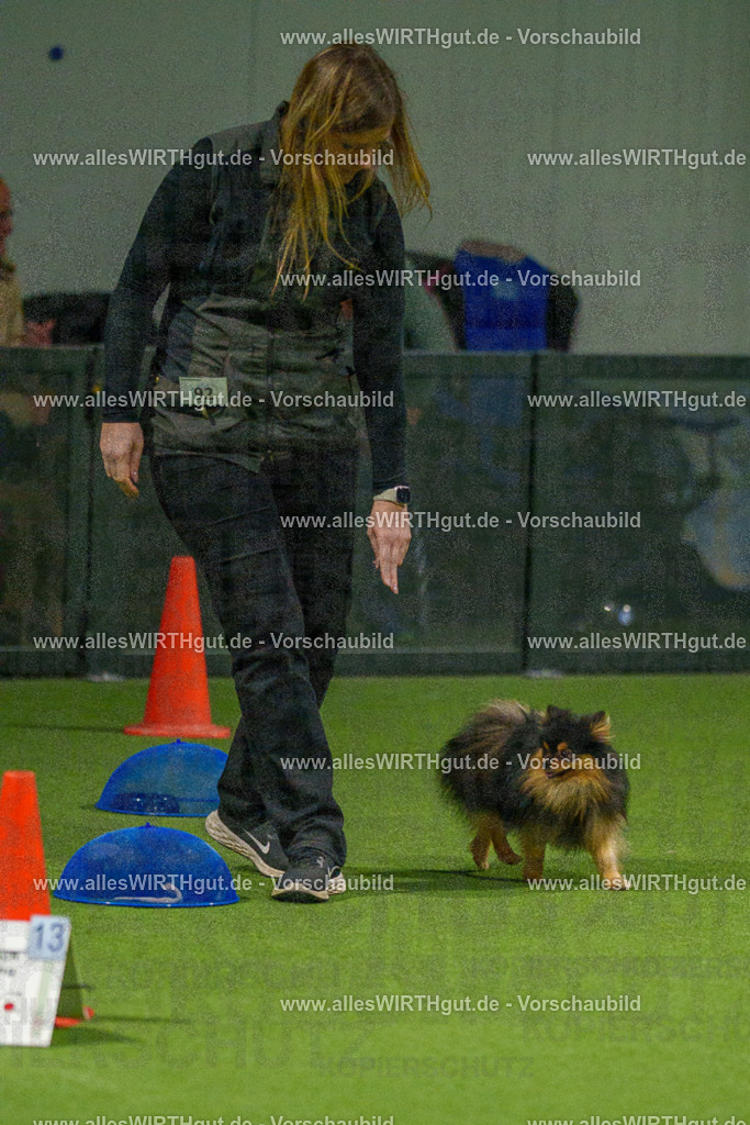 7R508862 | Professionelle Tierfotografie in Mönchengladbach von Daniel Wirth (allesWIRTHgut). Liebevolle & natürliche Bilder von Hunden & Katzen für unvergessliche Erinnerungen.