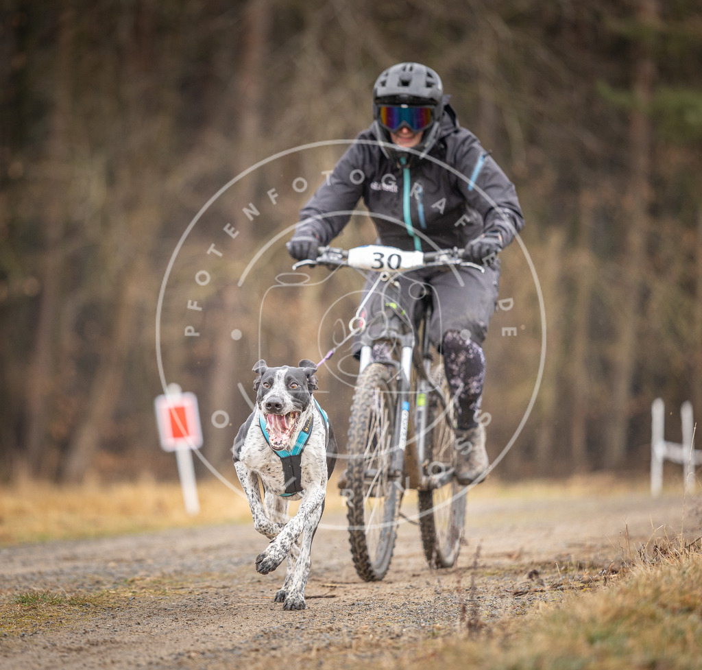 DV3A3295 | Hundefotografie, Tierfotograf, Pfotenfotografie, Fotoshooting Hund, Hunde Portrait, Hundesport, Hundeportraits, Heideshooting, Hunde, Sportfotograf, Hundefotograf, Turnierhundsport, THS,  - Realisiert mit Pictrs.com