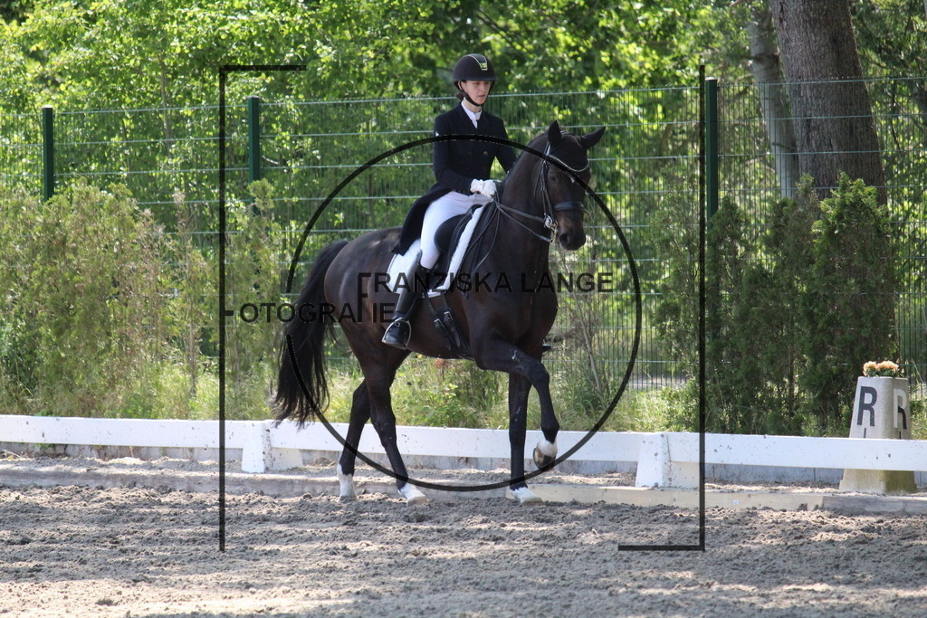 IMG_4655 | franziskalange - Realisiert mit Pictrs.com