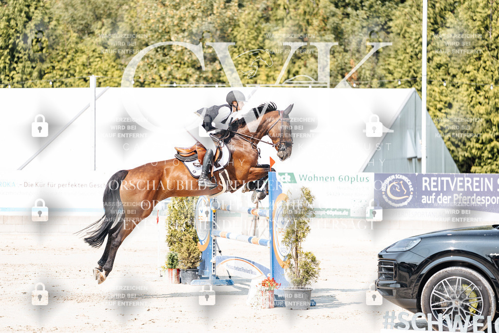 CK901780 | Turnierfotografie Pferdefotografie Trier Rheinland-Pfalz Pferdesport Reitsport Tierfotografie Sportfotografie Pferdevideo Pferdevideografie Equestrianvideography equestrianphotography  - Realisiert mit Pictrs.com
