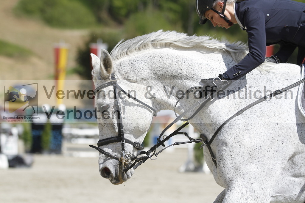 _MG_5139 | equestrian-live-com
