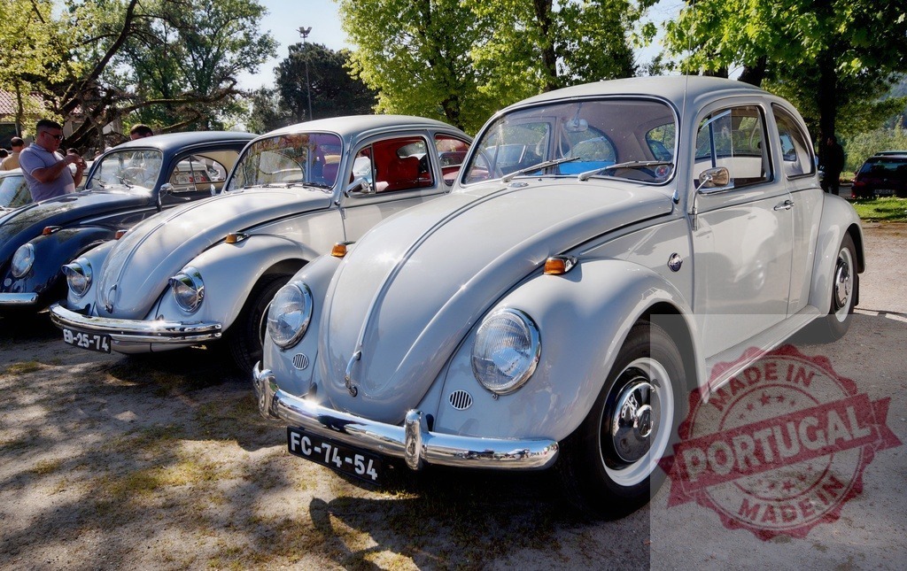 Volkswagen Beetles parked at a classic car show | Classic Volkswagen Beetles lined up outdoors, representing vintage automotive culture and transport - Realized with Pictrs.com