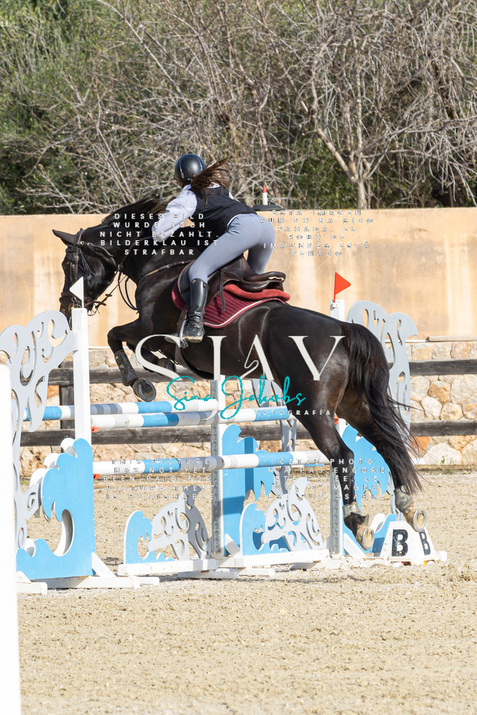 IMG_4411 | s-jay-photography - Realisiert mit Pictrs.com