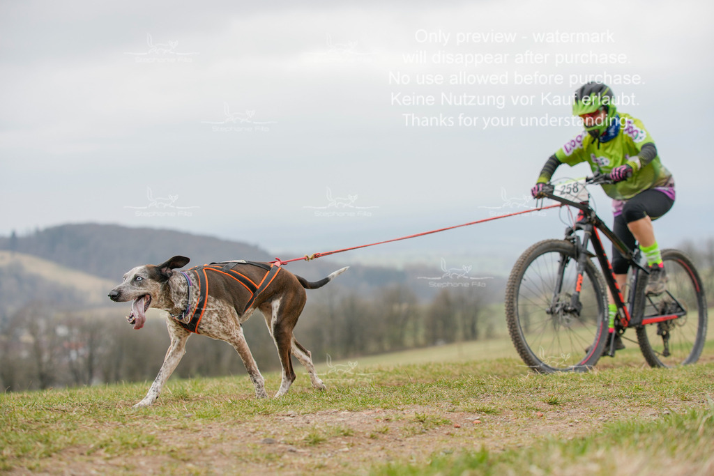 BikeSA-343 | stephaniefillaphotographie - Realisiert mit Pictrs.com