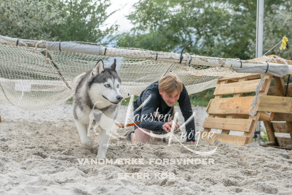 1135_ZZ98087 | kk-dogfotos