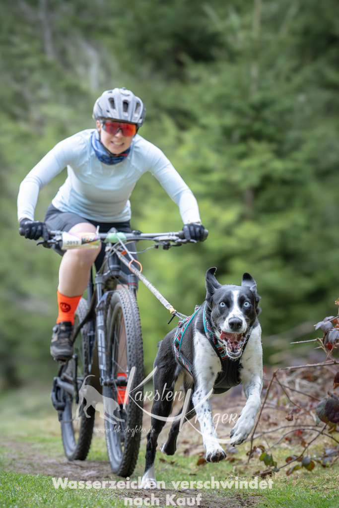 1309_ZZ93697-2 | kk-dogfotos