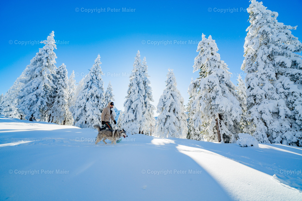 NLW_Husky_Koller_Winter_2024_Peter_Maier-296 | piet_flosse