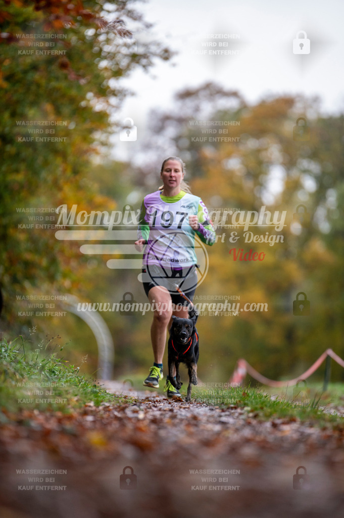 DBT_DAKM_SA_4_11_2023_Canicross-37 | PayLife
