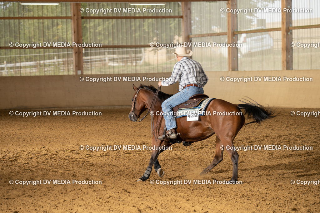 LAU01460 | dv-media-shop - Realisiert mit Pictrs.com