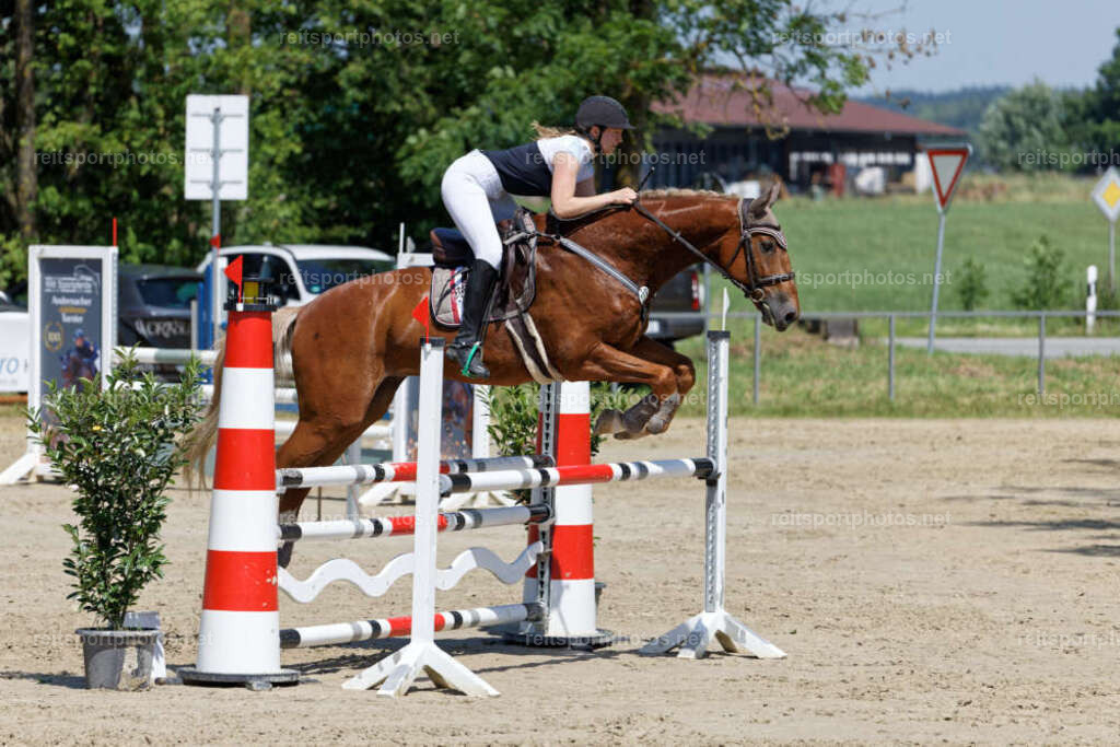 JHE31107 | JoYa Fotografie - Realisiert mit Pictrs.com