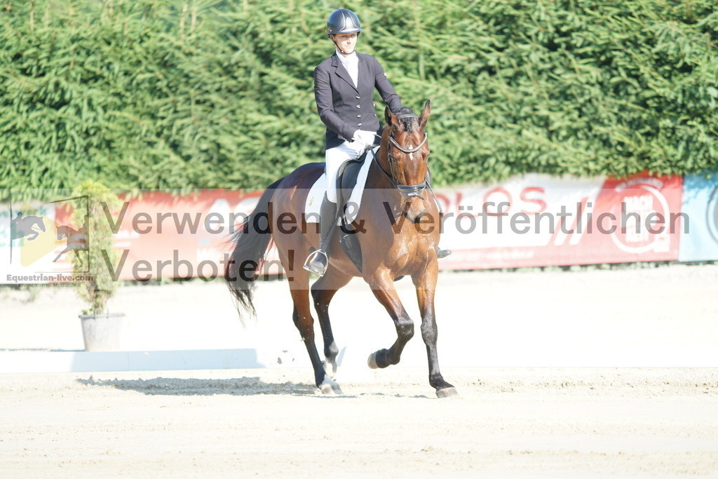 DSC02764 | equestrian-live-com