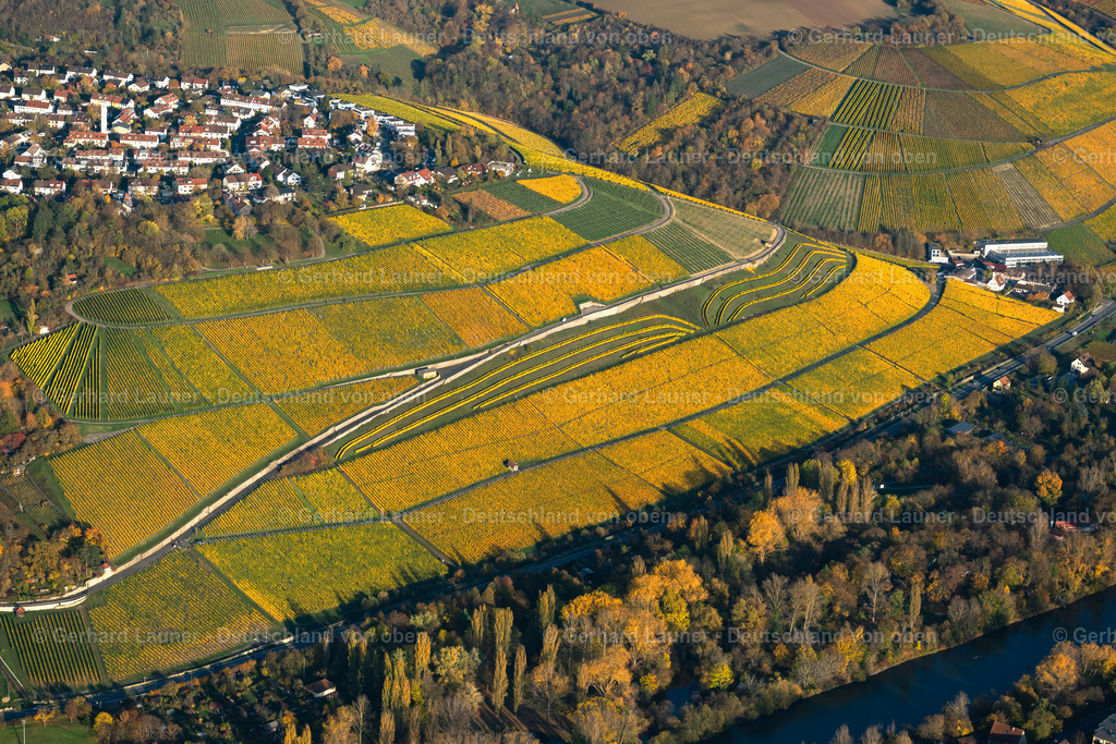 4042237 | Weinanbaugebiet Abtsleite, Würzburg
