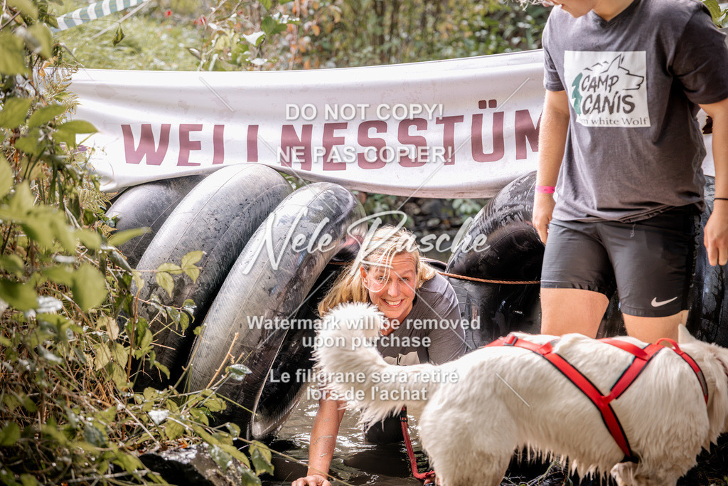 nelerasche_Hunsrück2026_Sa1400-1500_278 | nelerasche