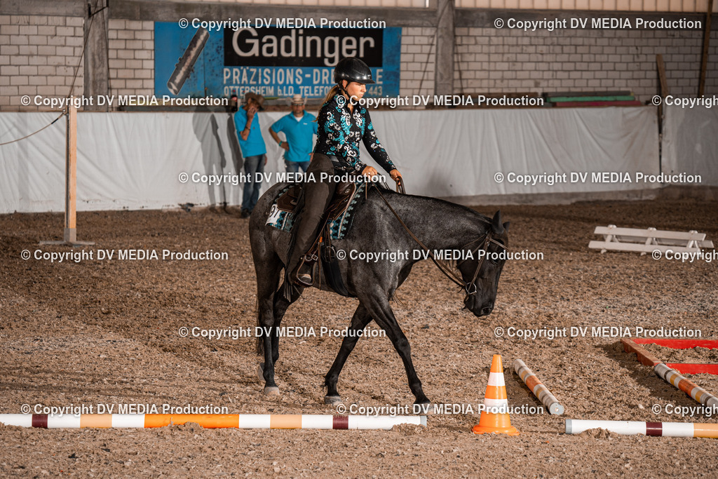 ZH200545 | dv-media-shop - Realisiert mit Pictrs.com