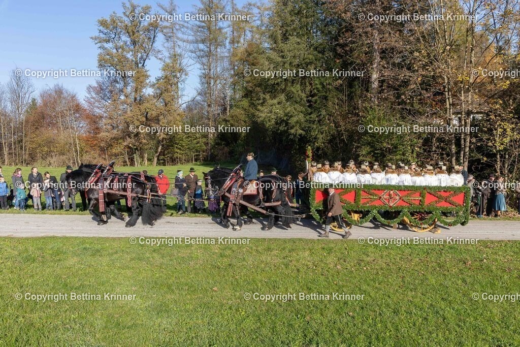 LBT24-392 | foto-bettina-krinner - Realisiert mit Pictrs.com