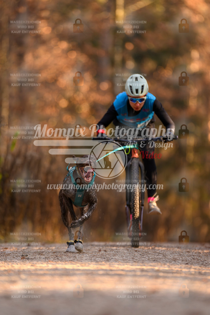 MompixPhotography_DM_AKDM_SO_2025_Scooter-142 | PayLife