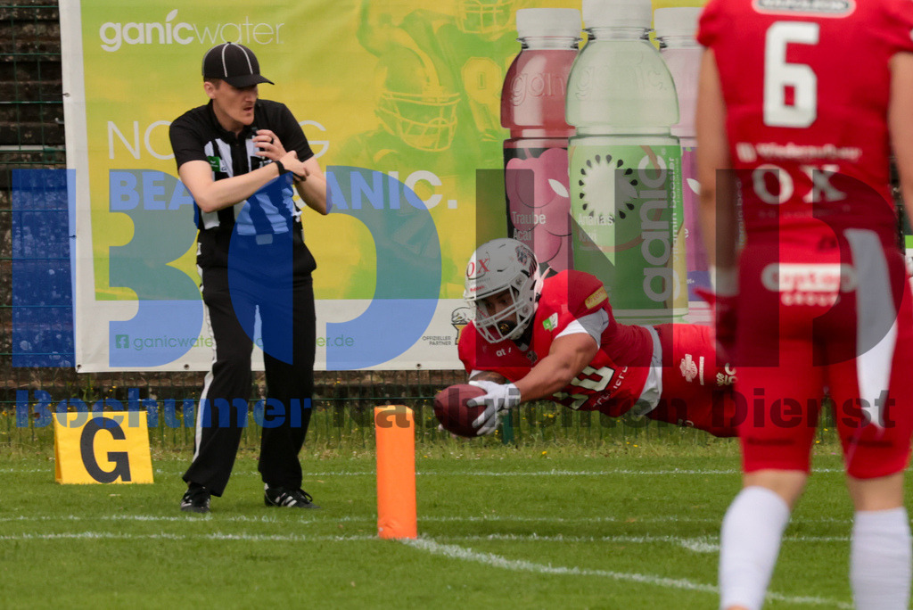 GFL: Paderborn Dolphins vs. New Yorker Lions{date} -  | {headline}(Foto: Sebastian Sendlak / BOND) - Realisiert mit Pictrs.com