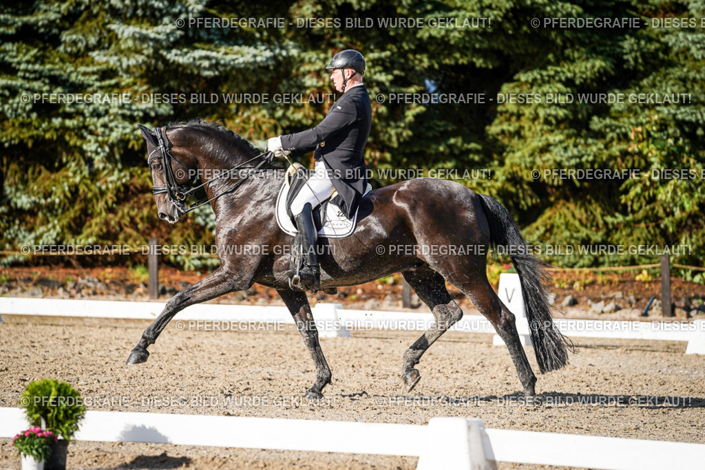 DSC00712 | Pferdegrafie