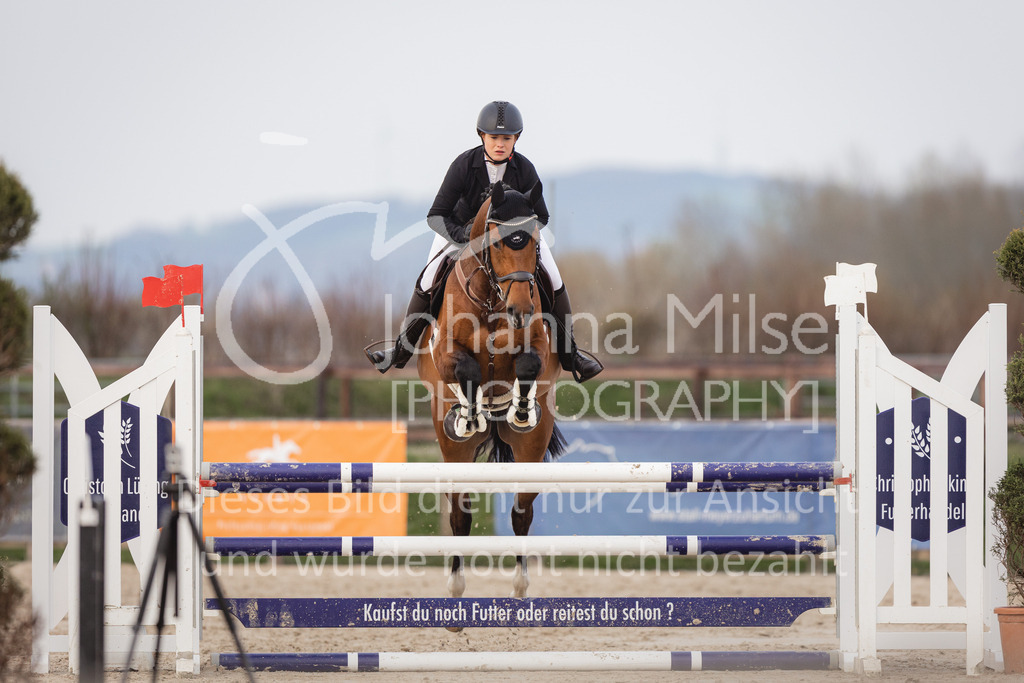 230406_Frühlingsfest_A-Stil2-221 | Deine schönsten Turniermomente als professionelle Fotos! Entdecke hochwertige Pferdesport-Fotografie im Online-Shop. Jetzt Fotos finden & bestellen!