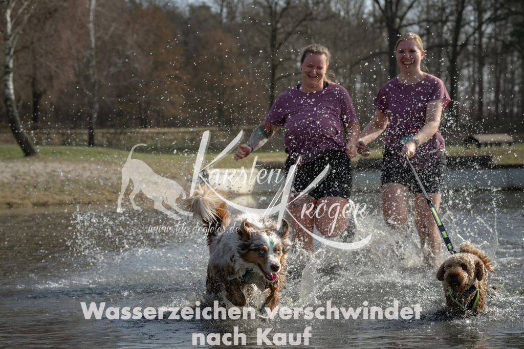 1141_ZZ95816-2 | kk-dogfotos