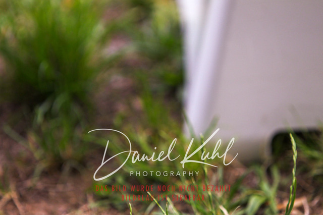 DKP41401 | Turniersportfotografie; Pferdefotografie; Dressurfotografie