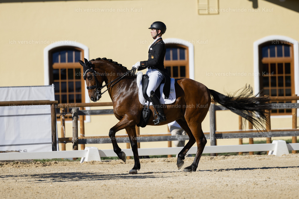 FHC2026_P09_22_18475 | Fichtenhof Classics 2026 – Grand Prix de Dressage - VOLTAIRE Design Preis, Reitanlage Fichtenhof, Sch ftlarn