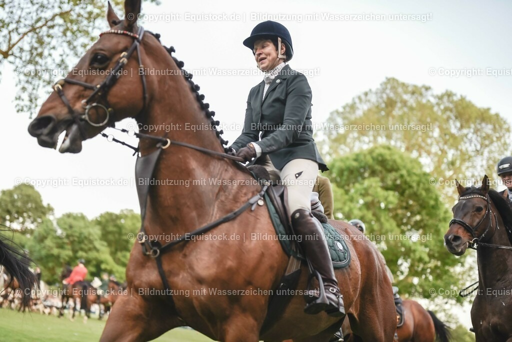 20230526_Pferdenacht_0609 | equistock