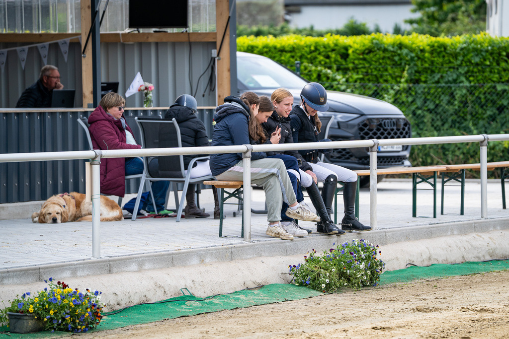 DSC03666 | Pferdegrafie