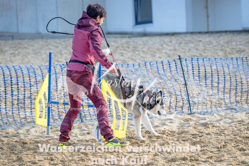 0952_ZZ92970 | kk-dogfotos