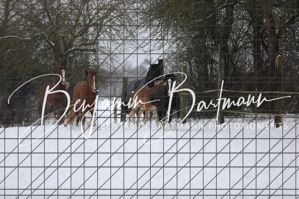 AZ2A3324 | Benjamin Bartmann Photomoments