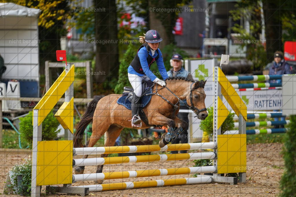 20221009-FAH08349 | Diessen am Ammersee, 2022, Dressur- und Springturnier, Reitsportbilder, Turnierfotografen Bayern, Pferdefotografen, Fotoagentur Herrmann, Turnierbilder
