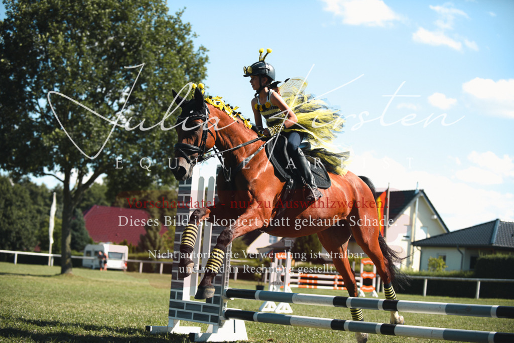 DSC_7481 | Pferde- und Turnierfotografie in Westsachsen. Pferdeportraits, Auftragszeichnungen und intuitive Kunst.