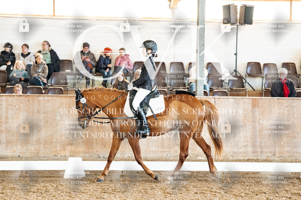 CK900284 | Turnierfotografie Pferdefotografie Trier Rheinland-Pfalz Pferdesport Reitsport Tierfotografie Sportfotografie Pferdevideo Pferdevideografie Equestrianvideography equestrianphotography  - Realized with Pictrs.com