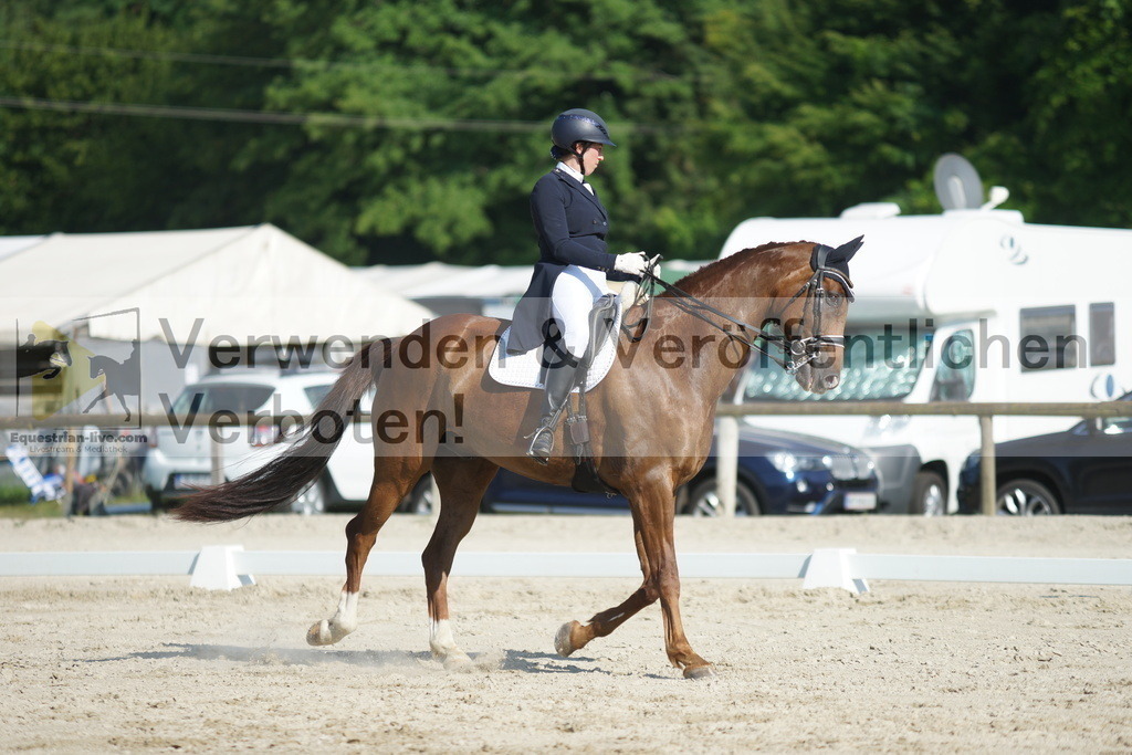 DSC02487 | equestrian-live-com