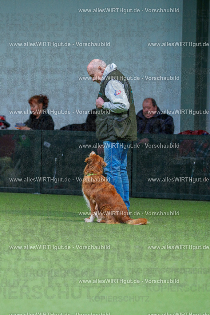 7R506349 | Professionelle Tierfotografie in Mönchengladbach von Daniel Wirth (allesWIRTHgut). Liebevolle & natürliche Bilder von Hunden & Katzen für unvergessliche Erinnerungen.